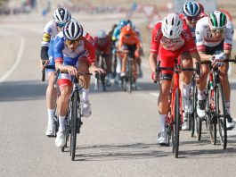 Fuga e Tim Wellens dominam atenções antes do ‘caos’ à boca da meta na Vuelta