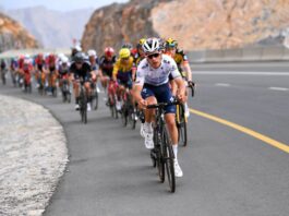 João Almeida quinto na 5ª etapa do UAE Tour, Tadej Pogacar segue líder