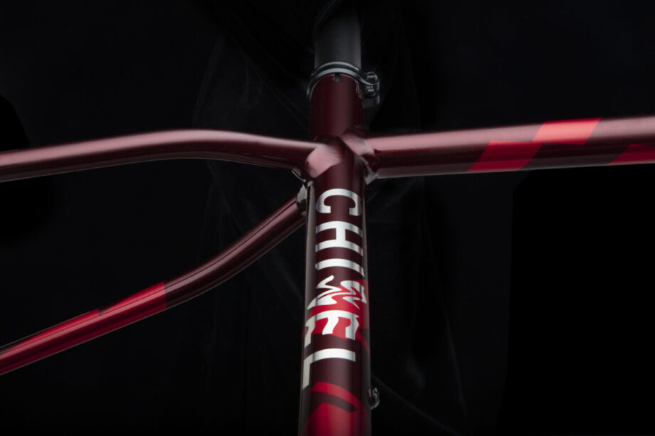 Specialized lança Artist Series – Disrupt the Decay para Chisel