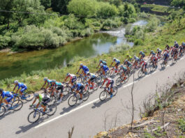 Agenda de Ciclismo | Ciclismo profissional mostra-se na região de Aveiro