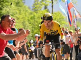 Primoz Roglic arrebata 20.ª etapa e liderança da geral do Giro, João Almeida terceiro